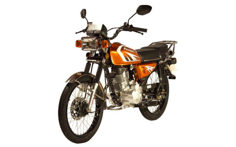 FREEDOM ZS200GY-3II