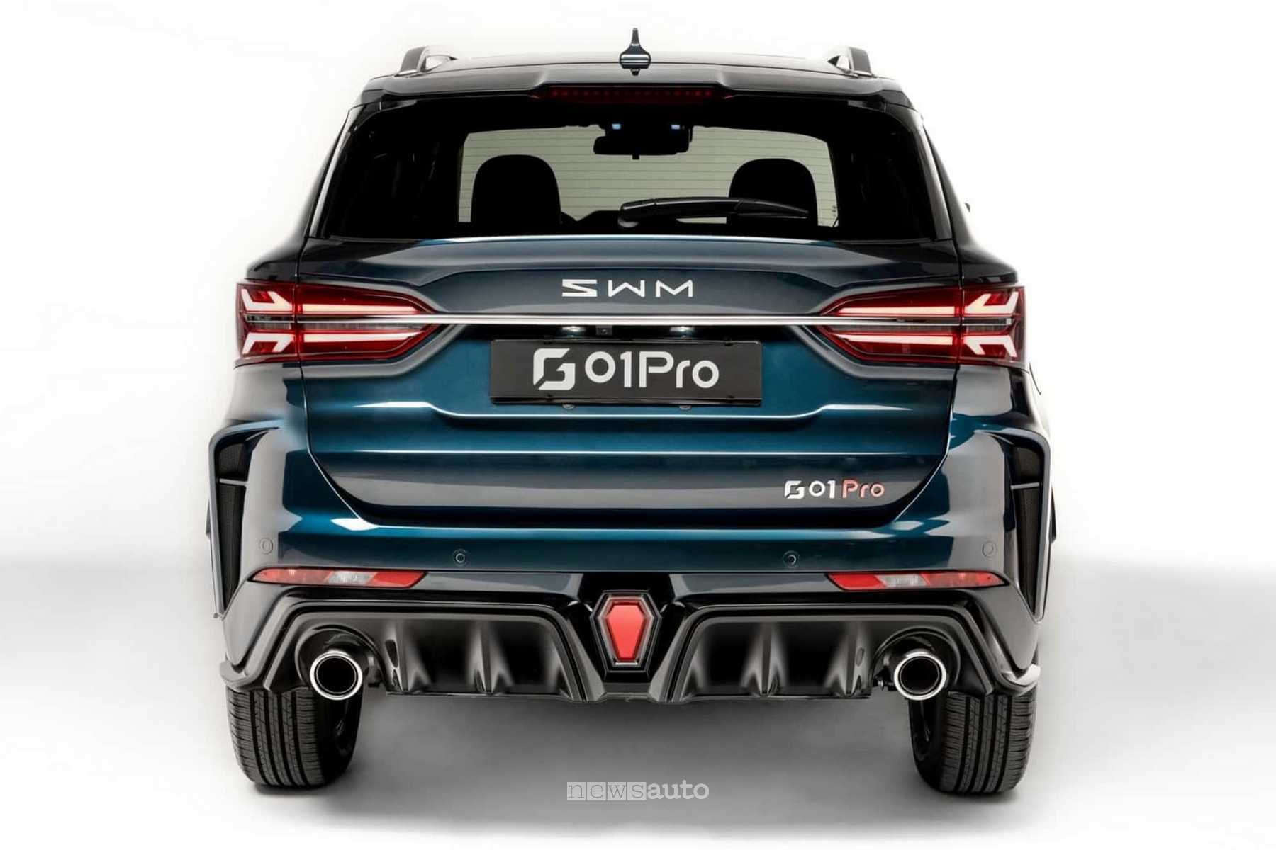 SWM G 01 PRO